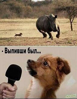 Нажмите на изображение для увеличения.

Название:	507435611_1454137328962590_1283327379956468537_n.jpg
Просмотров:	10
Размер:	66.5 Кб
ID:	4529319