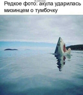 Нажмите на изображение для увеличения.

Название:	photoeditorsdk-export.png.8a340891dbf52eb522437410b1485be9.png
Просмотров:	197
Размер:	220.1 Кб
ID:	4529561