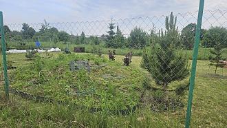 Нажмите на изображение для увеличения.

Название:	20250623_191147.jpg
Просмотров:	170
Размер:	633.9 Кб
ID:	4529647