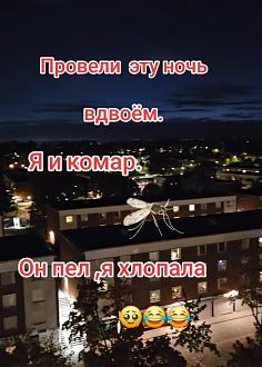 Нажмите на изображение для увеличения.

Название:	IMG_20250623_215838_414.jpg
Просмотров:	305
Размер:	148.7 Кб
ID:	4529690
