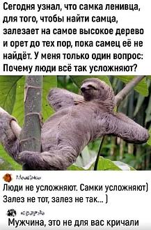 Нажмите на изображение для увеличения.  Название:	504379718_3235691806585761_204625396160844284_n.jpg Просмотров:	8 Размер:	109.2 Кб ID:	4530254