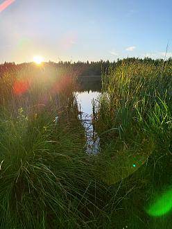 Нажмите на изображение для увеличения.

Название:	IMG_20250702_205216.jpg
Просмотров:	52
Размер:	491.3 Кб
ID:	4530290