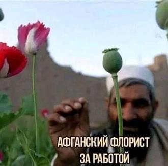 Нажмите на изображение для увеличения.  Название:	514345235_735956705511057_296442957184010674_n.jpg Просмотров:	0 Размер:	33.5 Кб ID:	4530295