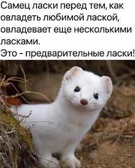 Нажмите на изображение для увеличения.

Название:	492004543_1085635230257217_6428152778458950206_n.jpg
Просмотров:	0
Размер:	70.9 Кб
ID:	4530382