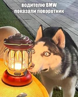 Нажмите на изображение для увеличения.

Название:	FB_IMG_1751954332573.jpg
Просмотров:	50
Размер:	126.7 Кб
ID:	4530537