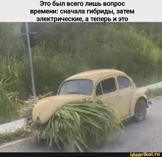 Нажмите на изображение для увеличения.  Название:	514352680_31289331677333100_2693468137157519834_n.jpg Просмотров:	0 Размер:	38.7 Кб ID:	4530561