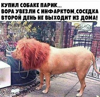 Нажмите на изображение для увеличения.

Название:	IMG_20250712_131206_229.jpg
Просмотров:	25
Размер:	288.0 Кб
ID:	4530710