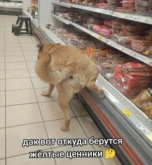Нажмите на изображение для увеличения.

Название:	516742459_1054904053423236_1134085530091770943_n.jpg
Просмотров:	41
Размер:	79.8 Кб
ID:	4530863