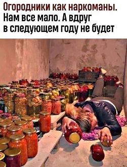 Нажмите на изображение для увеличения.

Название:	IMG_20250714_092722_709.jpg
Просмотров:	7
Размер:	97.9 Кб
ID:	4530879