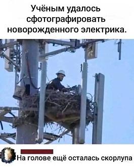 Нажмите на изображение для увеличения.

Название:	FB_IMG_1752480949818.jpg
Просмотров:	154
Размер:	66.2 Кб
ID:	4530884