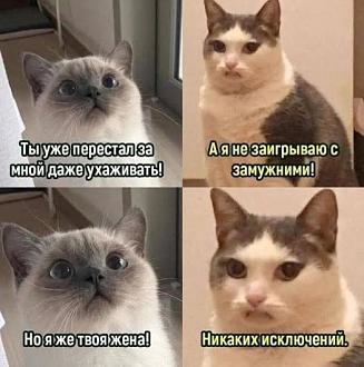 Нажмите на изображение для увеличения.

Название:	518059602_1399873197942057_8908066155820125060_n.jpg
Просмотров:	21
Размер:	55.8 Кб
ID:	4531158