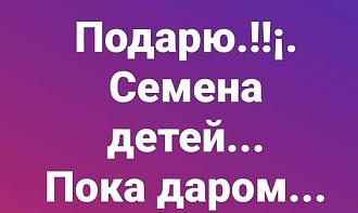 Нажмите на изображение для увеличения.

Название:	518384498_712266828357556_96076777729718205_n.jpg
Просмотров:	79
Размер:	47.1 Кб
ID:	4531240