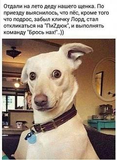 Нажмите на изображение для увеличения.

Название:	IMG_20250718_120226_069.jpg
Просмотров:	25
Размер:	70.1 Кб
ID:	4531271