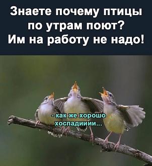 Нажмите на изображение для увеличения.

Название:	IMG_20250719_225845_488.jpg
Просмотров:	33
Размер:	134.8 Кб
ID:	4531395