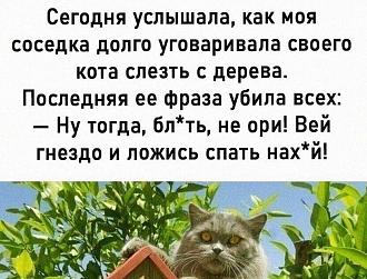 Нажмите на изображение для увеличения.

Название:	IMG_20250720_191930_531.jpg
Просмотров:	67
Размер:	144.5 Кб
ID:	4531480