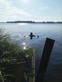 Нажмите на изображение для увеличения.  Название:	photo_2025-07-24_18-25-50.jpg Просмотров:	0 Размер:	180.2 Кб ID:	4531751