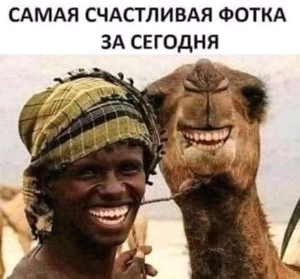 Нажмите на изображение для увеличения.

Название:	524484007_1563576601293354_2631350299303461648_n.jpg
Просмотров:	51
Размер:	33.2 Кб
ID:	4531914