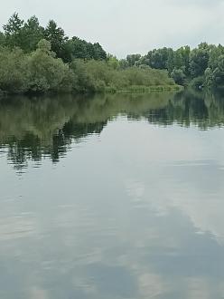 Нажмите на изображение для увеличения.  Название:	IMG_20250729_123155_819.jpg Просмотров:	0 Размер:	232.2 Кб ID:	4532211