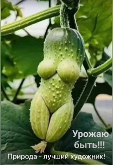 Нажмите на изображение для увеличения.

Название:	IMG-2f7f03383f51e3e24d78824581c55f91-V.jpg
Просмотров:	85
Размер:	173.1 Кб
ID:	4532328