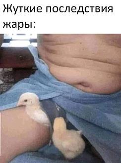Нажмите на изображение для увеличения.

Название:	IMG_20250731_220252_585.jpg
Просмотров:	22
Размер:	85.1 Кб
ID:	4532427