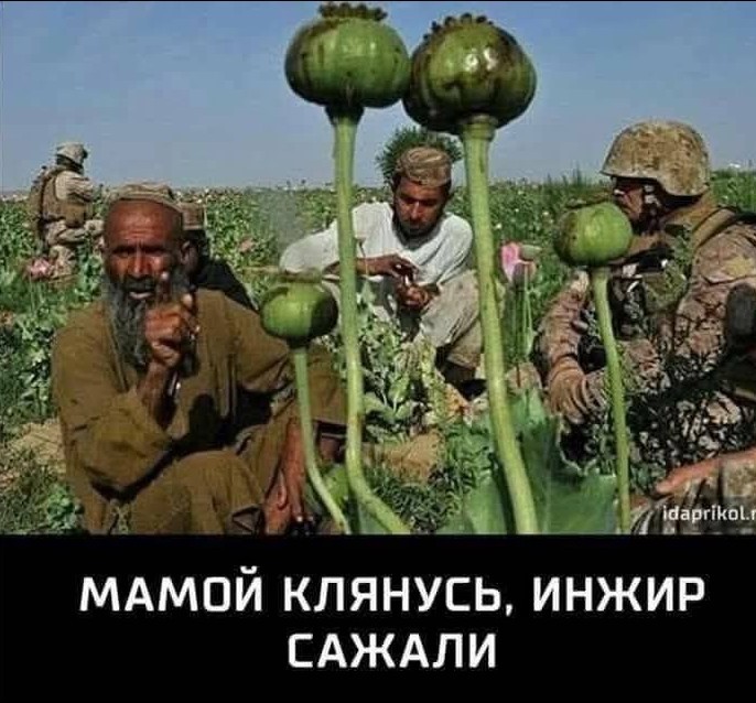 Нажмите на изображение для увеличения.

Название:	Скриншот 02-08-2025 104901.jpg
Просмотров:	167
Размер:	112.7 Кб
ID:	4532559