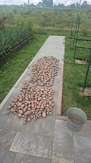 Нажмите на изображение для увеличения.

Название:	20250802_150856.jpg
Просмотров:	41
Размер:	599.2 Кб
ID:	4532571