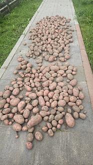 Нажмите на изображение для увеличения.

Название:	20250802_150847.jpg
Просмотров:	32
Размер:	594.1 Кб
ID:	4532574