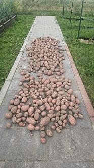 Нажмите на изображение для увеличения.

Название:	20250802_150834.jpg
Просмотров:	31
Размер:	590.5 Кб
ID:	4532575