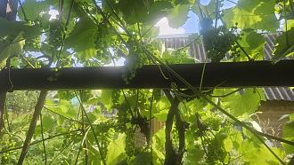 Нажмите на изображение для увеличения.

Название:	20250803_172659.jpg
Просмотров:	51
Размер:	557.4 Кб
ID:	4532696