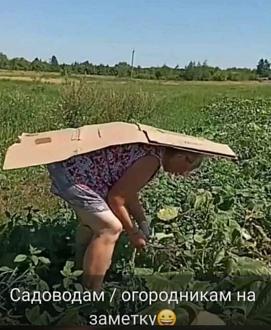 Нажмите на изображение для увеличения.

Название:	FB_IMG_1754337833653.jpg
Просмотров:	9
Размер:	155.0 Кб
ID:	4532822