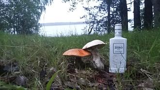 Нажмите на изображение для увеличения.  Название:	IMG_20260105_023158_242.jpg Просмотров:	0 Размер:	182.3 Кб ID:	4545593