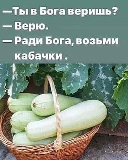Нажмите на изображение для увеличения.

Название:	527910974_1509664580350960_2266404638636308566_n.jpg
Просмотров:	149
Размер:	39.6 Кб
ID:	4533113