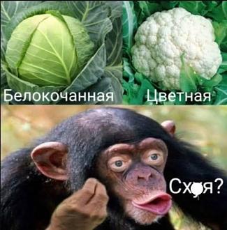Нажмите на изображение для увеличения.

Название:	528269257_1274630094449969_8596213254120093465_n.jpg
Просмотров:	132
Размер:	58.9 Кб
ID:	4533114