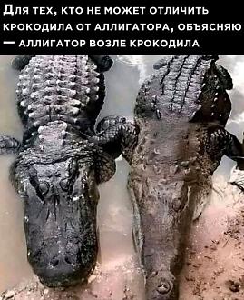 Нажмите на изображение для увеличения.

Название:	529831642_732743652959735_3581693179827241076_n.jpg
Просмотров:	207
Размер:	95.5 Кб
ID:	4533293