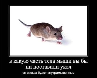 Нажмите на изображение для увеличения.

Название:	514260843_1268383524926891_7050944274164550744_n.jpg
Просмотров:	229
Размер:	36.7 Кб
ID:	4533440