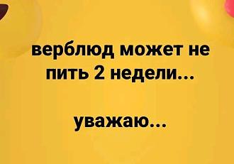 Нажмите на изображение для увеличения.

Название:	IMG_20250811_211137_771.jpg
Просмотров:	98
Размер:	35.3 Кб
ID:	4533510