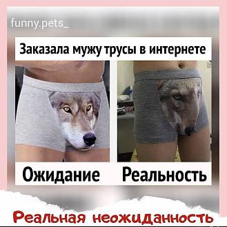 Нажмите на изображение для увеличения.

Название:	IMG_20250731_184329_966.jpg
Просмотров:	35
Размер:	132.6 Кб
ID:	4533612