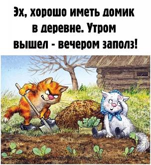 Нажмите на изображение для увеличения.

Название:	FB_IMG_1755090187192.jpg
Просмотров:	159
Размер:	188.9 Кб
ID:	4533652