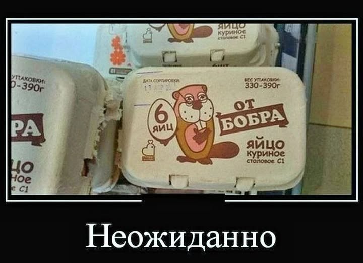 Нажмите на изображение для увеличения.

Название:	530247724_122212367606100622_3542850899596869281_n.jpg
Просмотров:	63
Размер:	66.7 Кб
ID:	4533709