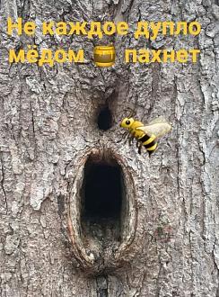 Нажмите на изображение для увеличения.  Название:	533140825_1939881050191304_7086061773743223910_n.jpg Просмотров:	0 Размер:	152.2 Кб ID:	4533878