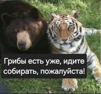 Нажмите на изображение для увеличения.

Название:	FB_IMG_1755361245162.jpg
Просмотров:	0
Размер:	47.8 Кб
ID:	4533910