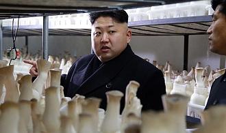 Нажмите на изображение для увеличения.  Название:	bc1f44bb-649b-42a6-a688-f99054d383b1_780.jpg Просмотров:	0 Размер:	61.5 Кб ID:	4533986