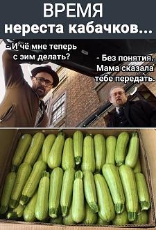 Нажмите на изображение для увеличения.

Название:	533479914_1504589727388074_8981515274227157798_n.jpg
Просмотров:	4
Размер:	109.7 Кб
ID:	4533999