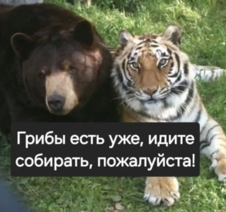 Нажмите на изображение для увеличения.

Название:	photoeditorsdk-export (17).png
Просмотров:	205
Размер:	268.2 Кб
ID:	4534148