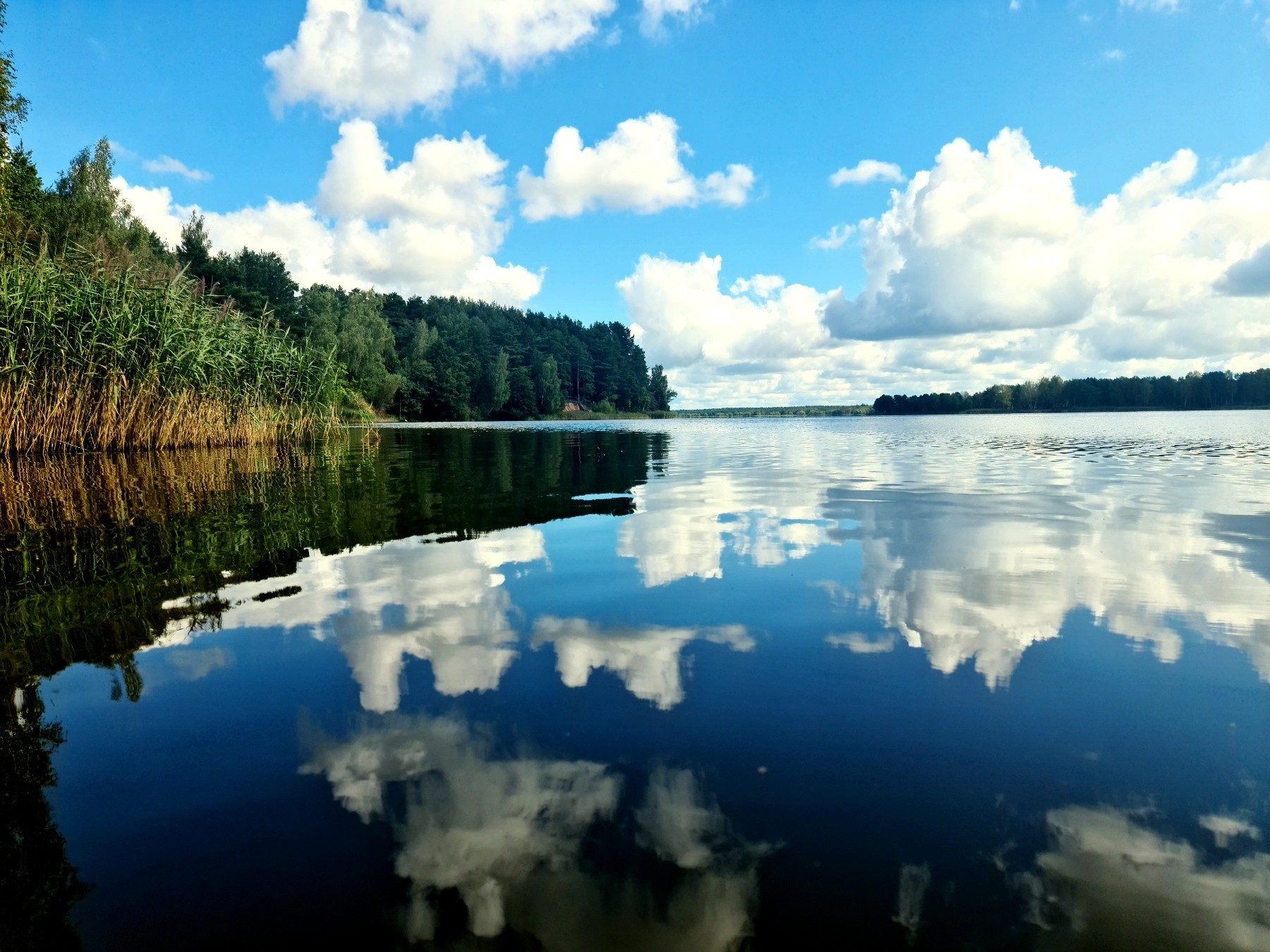Нажмите на изображение для увеличения.  Название:	image_594278.jpg Просмотров:	2 Размер:	493.7 Кб ID:	4534183