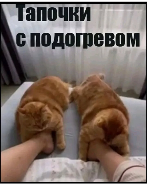 Нажмите на изображение для увеличения.

Название:	photoeditorsdk-export (11).png
Просмотров:	374
Размер:	336.8 Кб
ID:	4534187