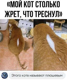 Нажмите на изображение для увеличения.

Название:	IMG_20250817_203204_661.jpg
Просмотров:	315
Размер:	133.7 Кб
ID:	4534342