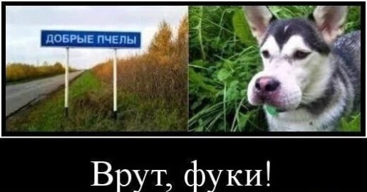 Нажмите на изображение для увеличения.

Название:	photoeditorsdk-export (2).png
Просмотров:	236
Размер:	188.9 Кб
ID:	4534373