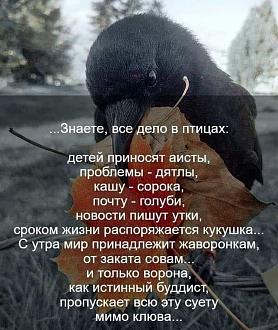 Нажмите на изображение для увеличения.

Название:	IMG_20250816_180126_907.jpg
Просмотров:	307
Размер:	127.0 Кб
ID:	4534435