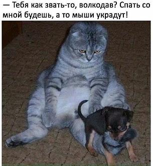 Нажмите на изображение для увеличения.

Название:	IMG_20250823_205637_215.jpg
Просмотров:	150
Размер:	85.1 Кб
ID:	4534581